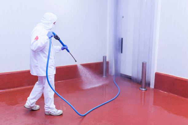  Boiling Springs, SC Pressure Washing Pros