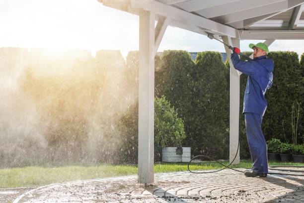 Animal Enclosure Cleaning in Boiling Springs, SC